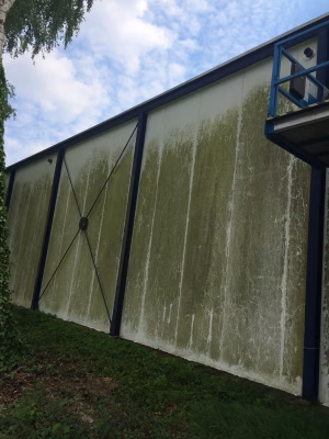 Schoonmaak Orca