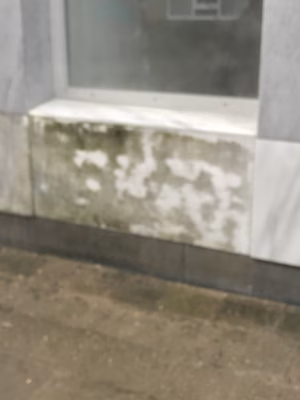 Schoonmaak Orca